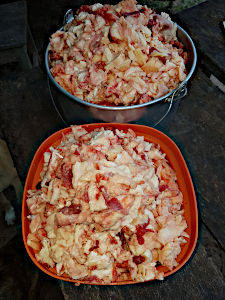 Fleisch