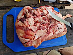 Fleisch 1