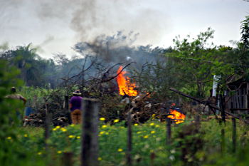 Feuer Nachbarn