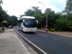 Canindeyu Bus