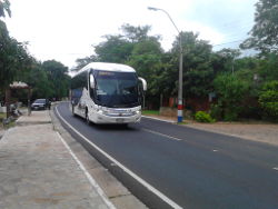 Bus